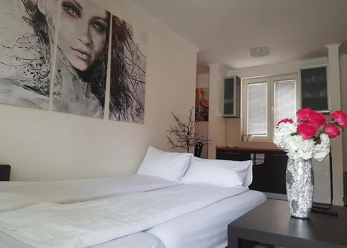 Rajiceva 5- Sa Prostranom Terasom I Garaznim Mestom Daire